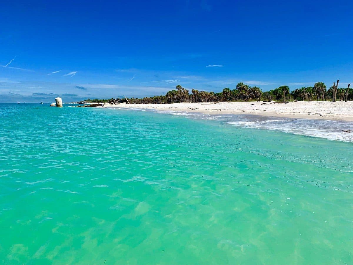 Shelling on a white-sand beach near Anna Maria Island